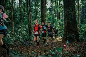 BIB: 
                            <button type="button" onclick="openModal(26130637)" class="btn btn-primary btn-sm float-right btn-popup" data-toggle="modal" data-target=".modal-high-quality">
                        <i class="fas fa-shopping-cart"></i> Add to Cart
                    </button>
                                            <button type="button" onclick="isThisMe(26130637, true)" class="btn btn-success btn-sm float-right btn-popup btn-isme hidden" data-toggle="tooltip" data-placement="bottom" title="นี่คือรูปของคุณใช่ไหม คลิกที่นี่เพื่อเอาเข้าอัลบั้ม">
                        <i class="fas fa-plus"></i> Add to album
                    </button>
                    <button type="button" onclick="isThisMe(26130637, false)" class="btn btn-warning btn-sm float-right btn-popup btn-isnotme hidden">
                        <i class="fas fa-ban"></i> Remove from album
                    </button>